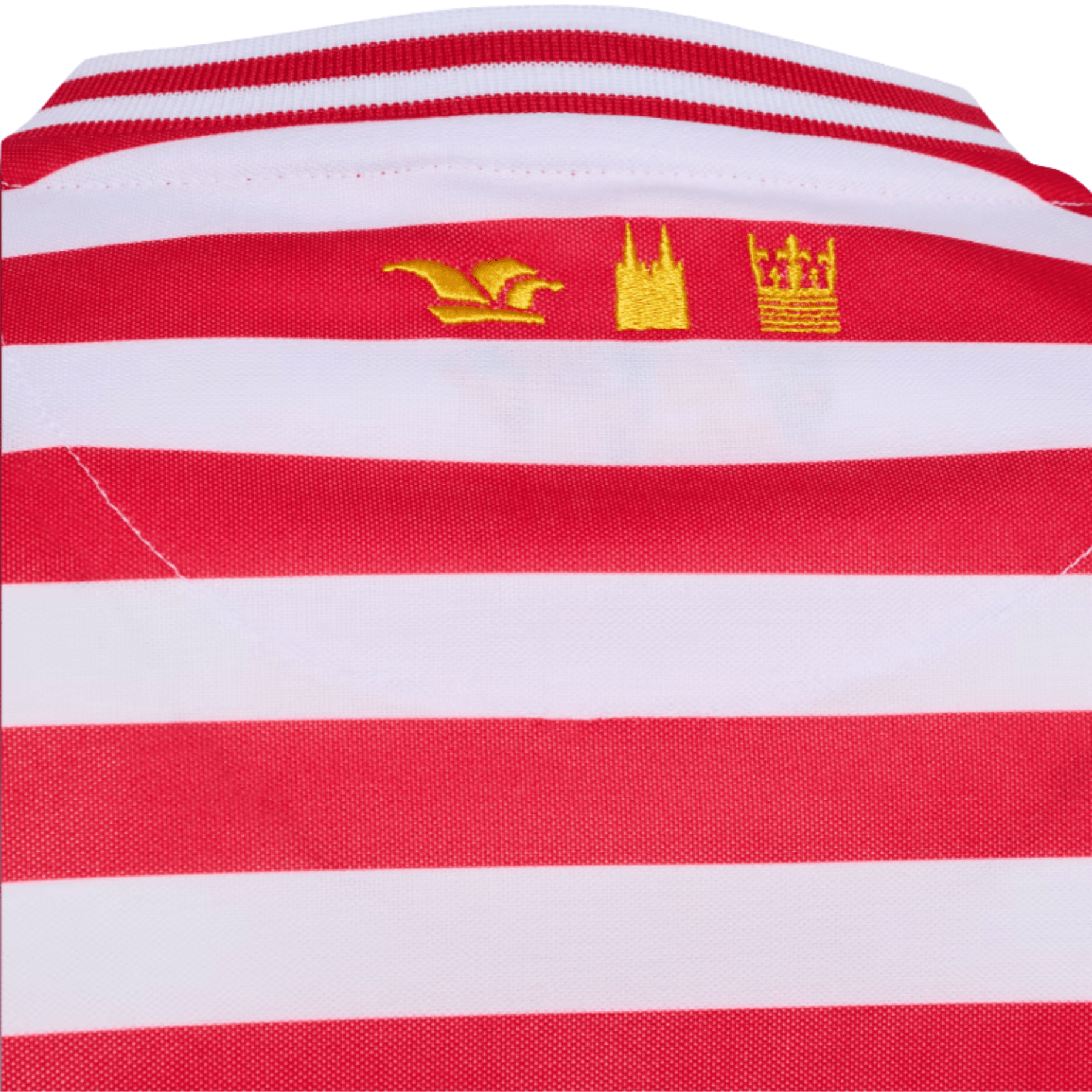 Maillot carnaval manches longues hommes 1. FC KÖLN 25 / 26