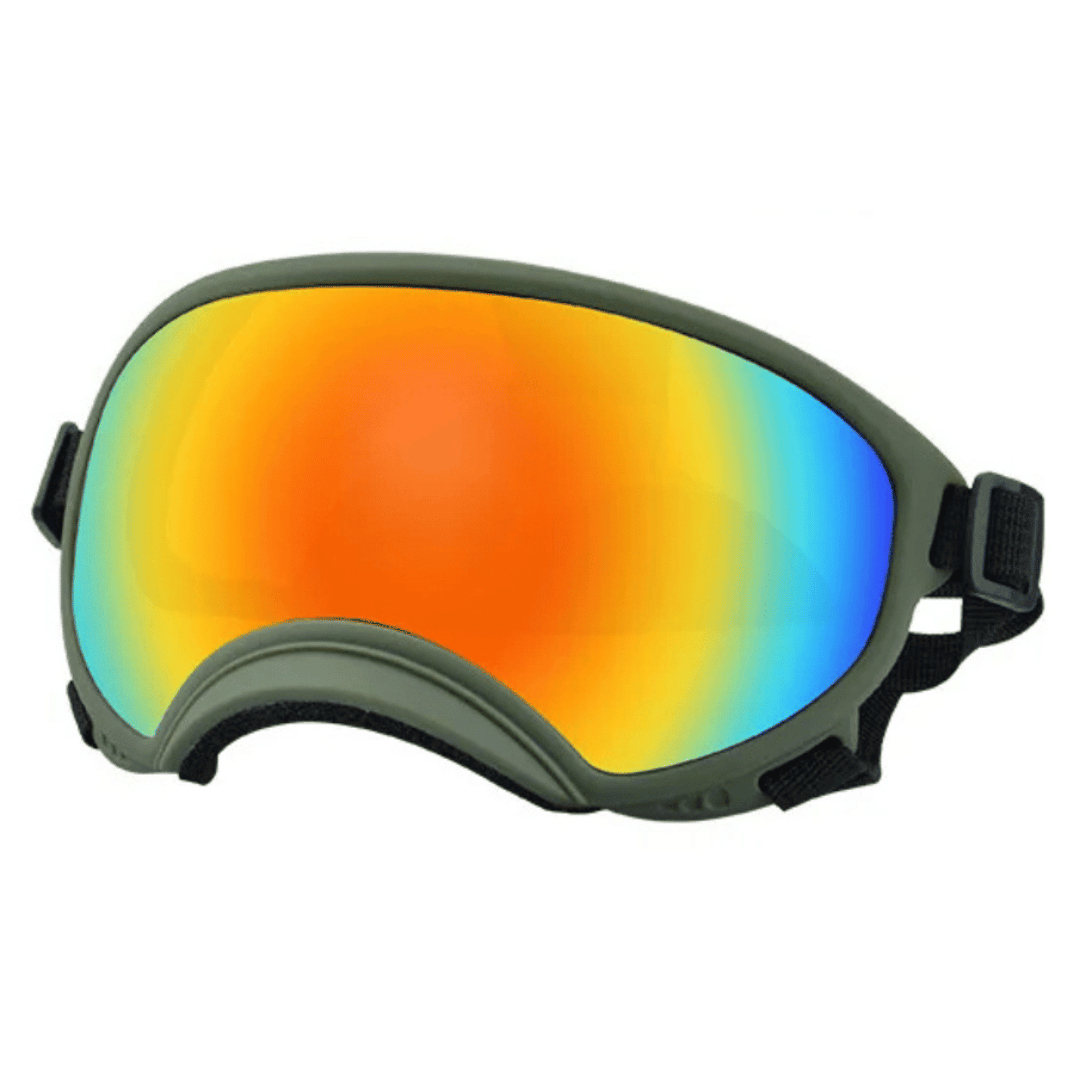 Lunettes de protection imperméables pour chien avec protection UV et sangles réglables