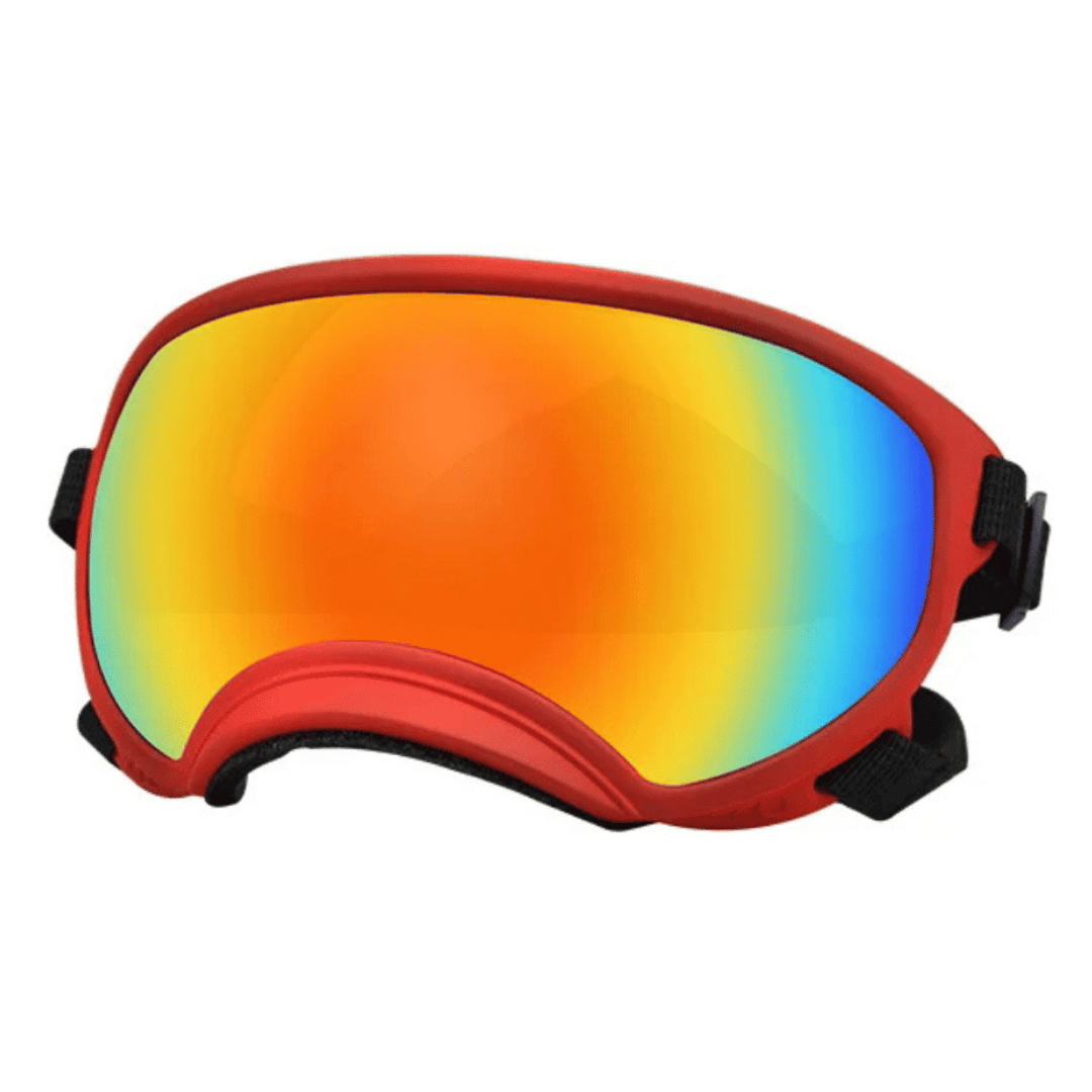 Lunettes de protection imperméables pour chien avec protection UV et sangles réglables
