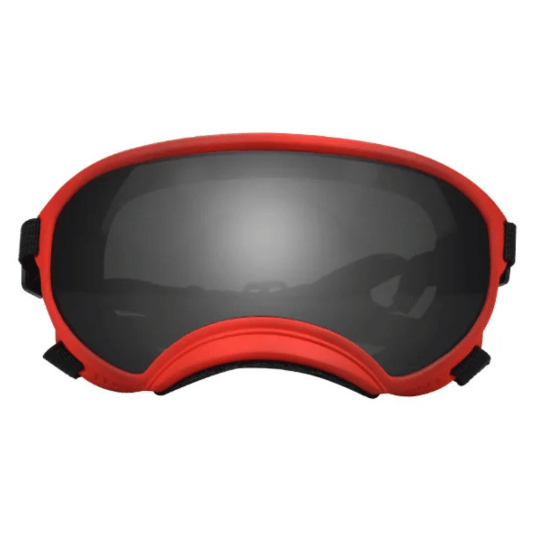 Lunettes de protection imperméables pour chien avec protection UV et sangles réglables