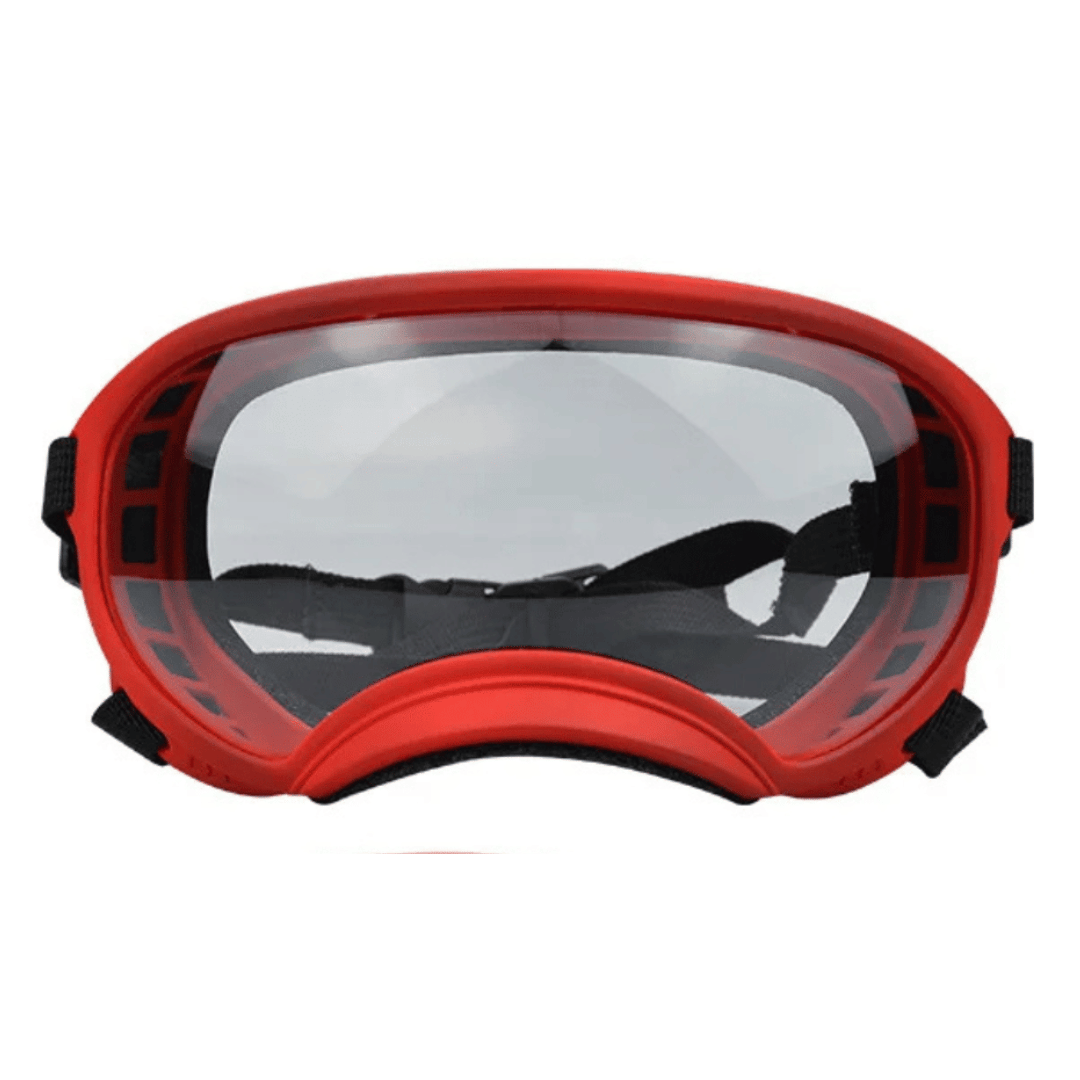 Lunettes de protection imperméables pour chien avec protection UV et sangles réglables