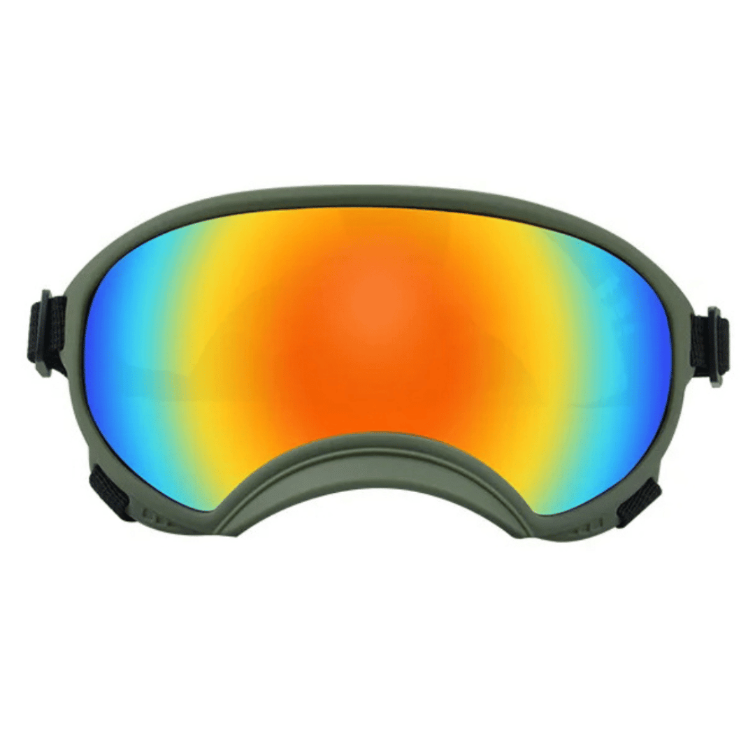 Lunettes de protection imperméables pour chien avec protection UV et sangles réglables