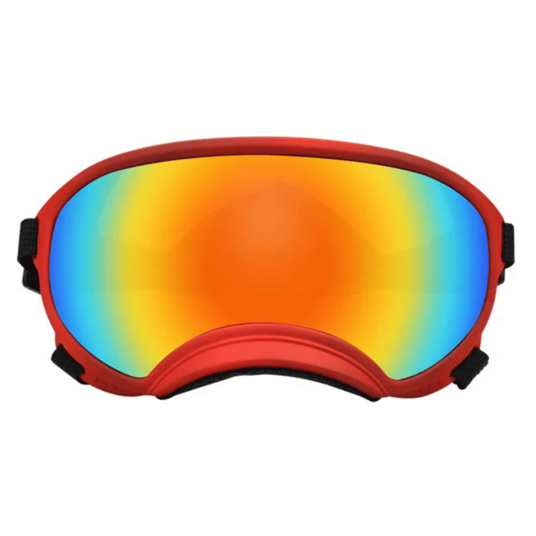 Lunettes de protection imperméables pour chien avec protection UV et sangles réglables