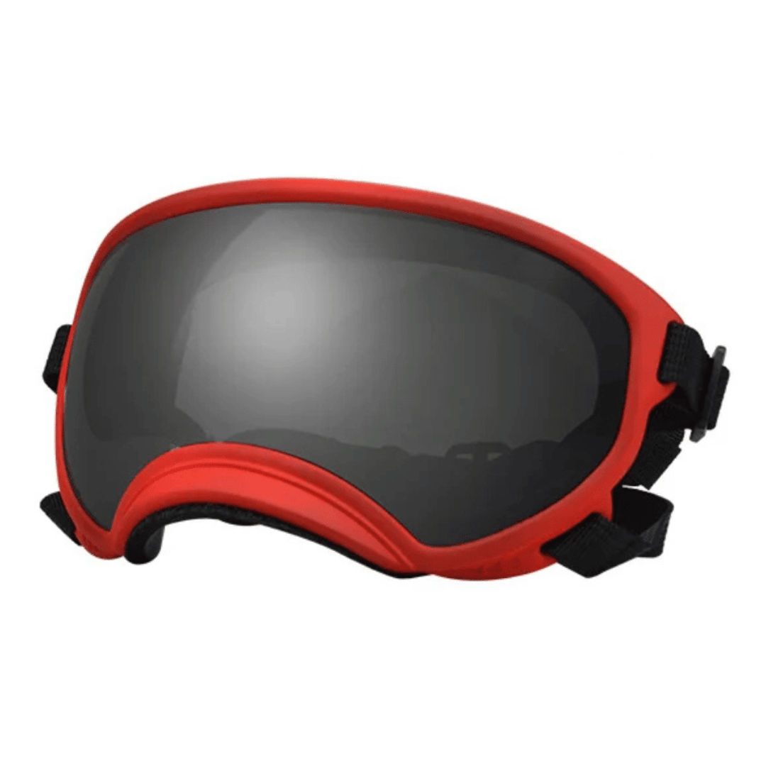 Lunettes de protection imperméables pour chien avec protection UV et sangles réglables