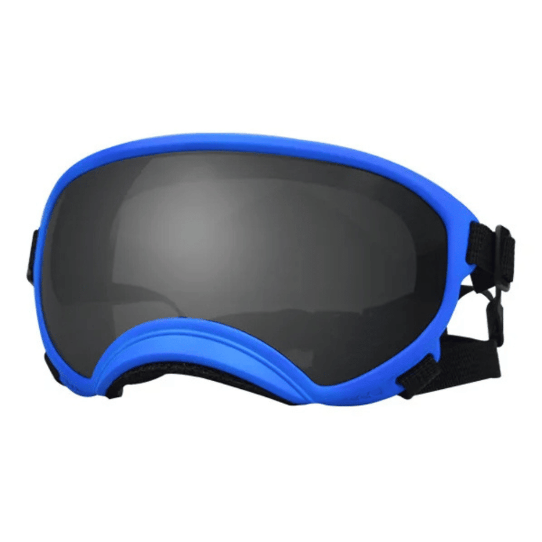 Lunettes de protection imperméables pour chien avec protection UV et sangles réglables