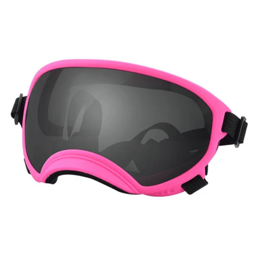 Lunettes de protection imperméables pour chien avec protection UV et sangles réglables