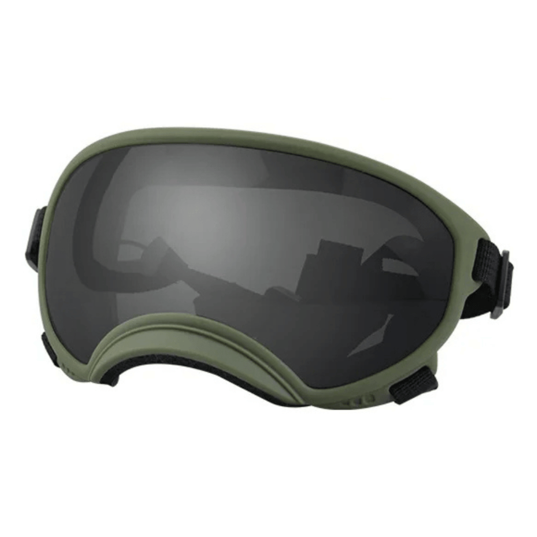 Lunettes de protection imperméables pour chien avec protection UV et sangles réglables