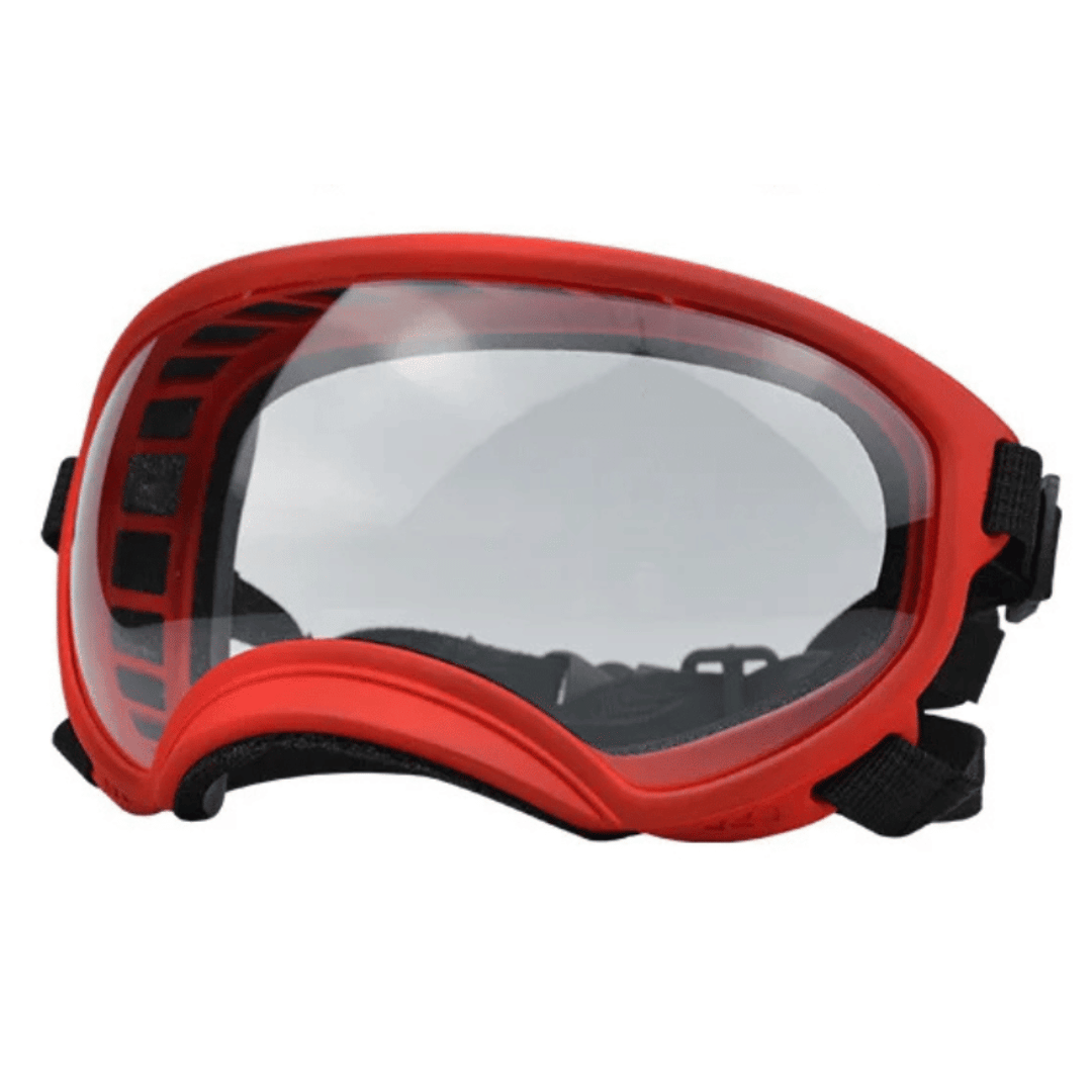 Lunettes de protection imperméables pour chien avec protection UV et sangles réglables