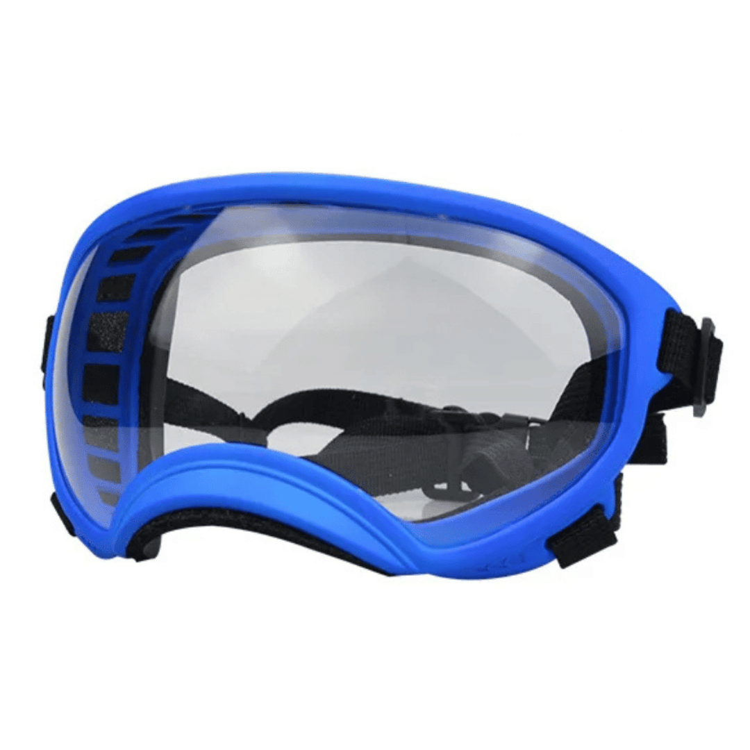 Lunettes de protection imperméables pour chien avec protection UV et sangles réglables