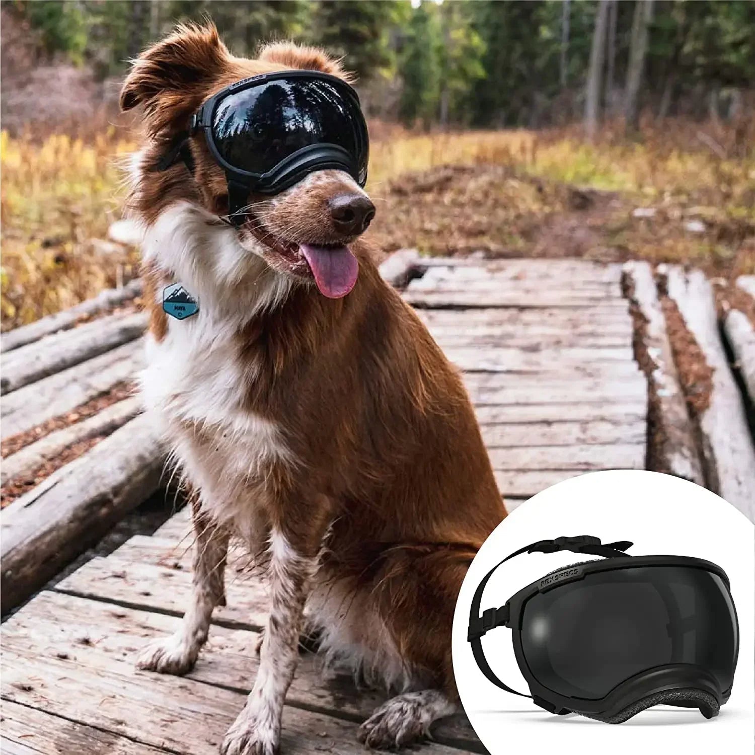 Lunettes de protection imperméables pour chien avec protection UV et sangles réglables