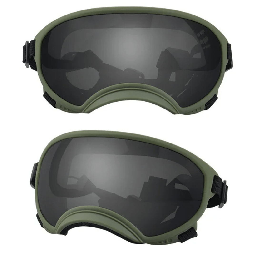 Lunettes de protection imperméables pour chien avec protection UV et sangles réglables
