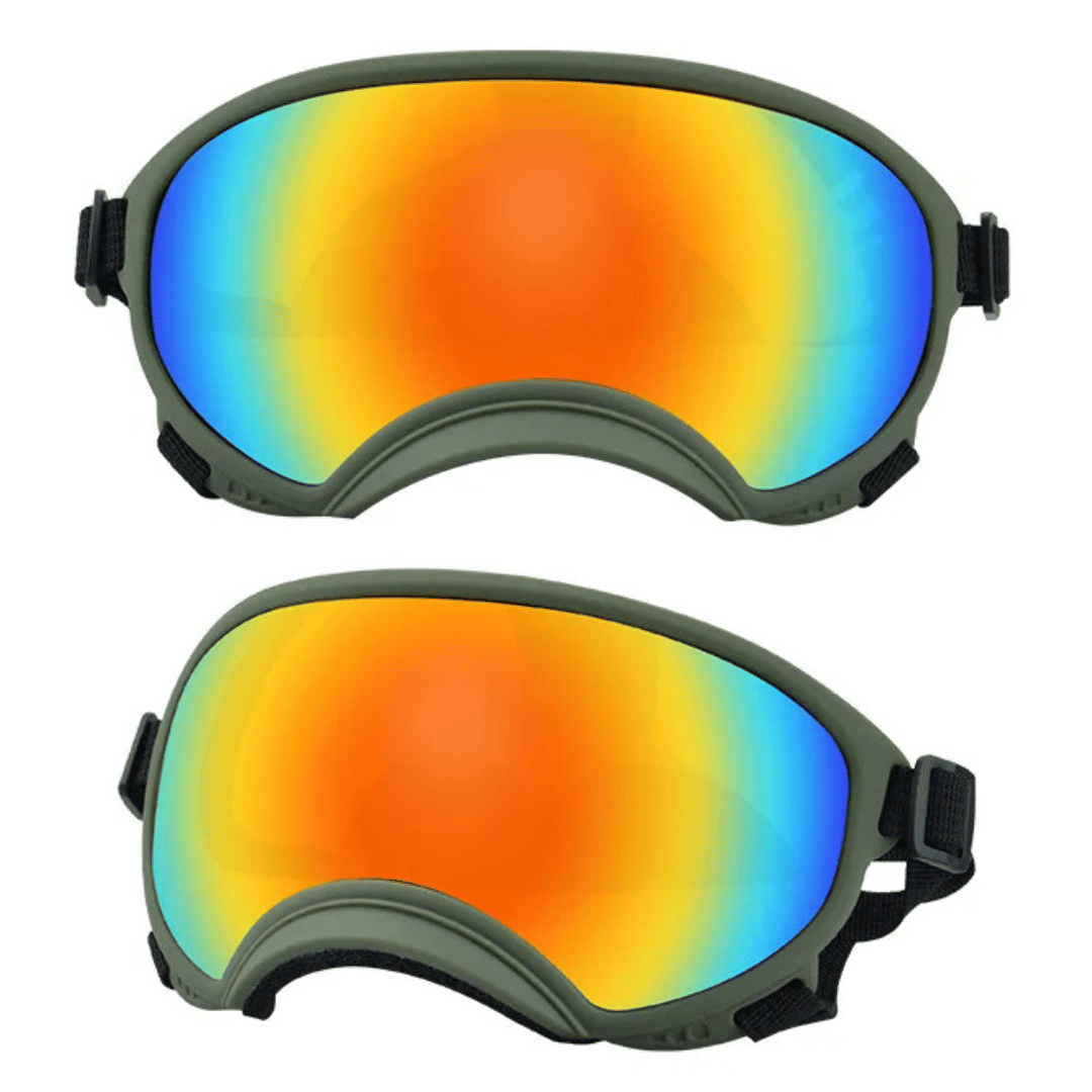 Lunettes de protection imperméables pour chien avec protection UV et sangles réglables