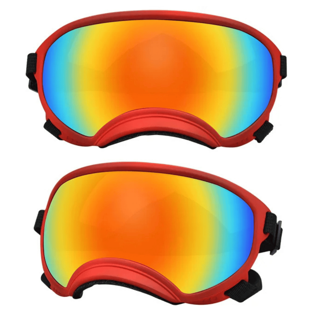 Lunettes de protection imperméables pour chien avec protection UV et sangles réglables