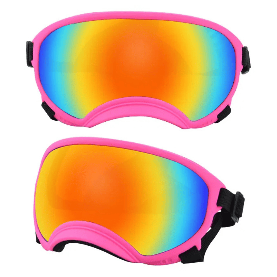Lunettes de protection imperméables pour chien avec protection UV et sangles réglables