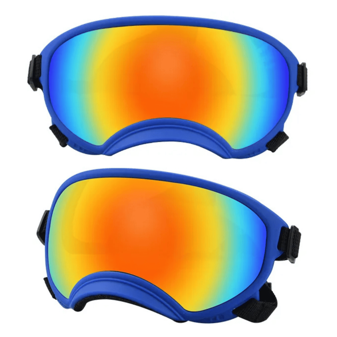 Lunettes de protection imperméables pour chien avec protection UV et sangles réglables