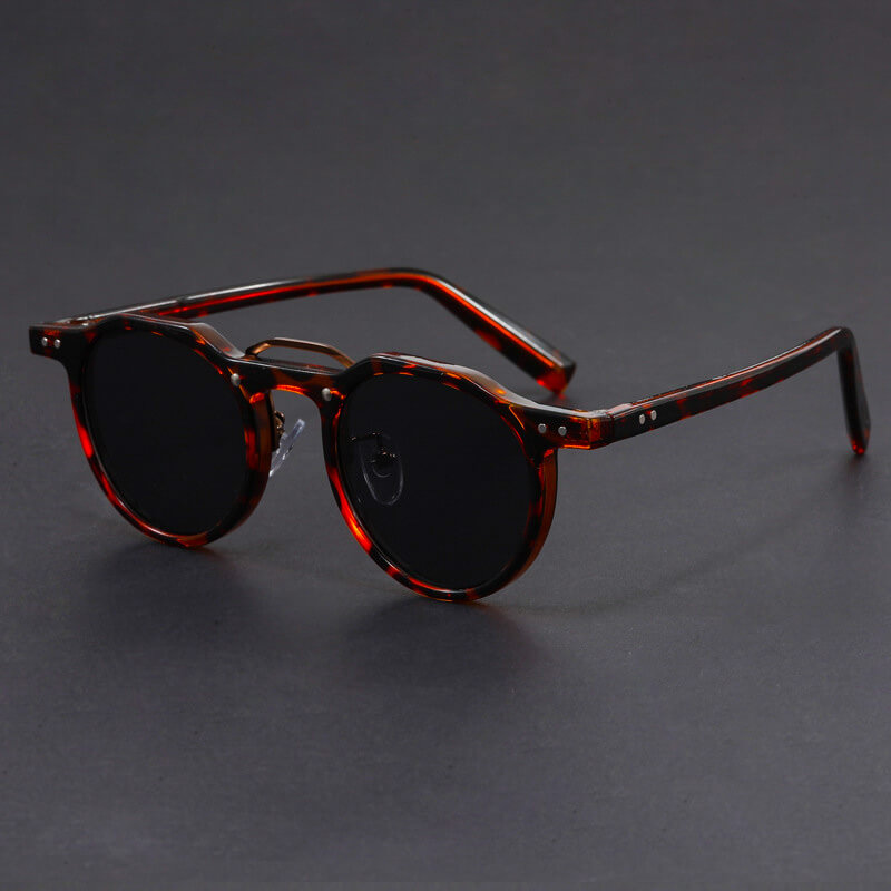 Lunettes de soleil rétro pour hommes Ravin