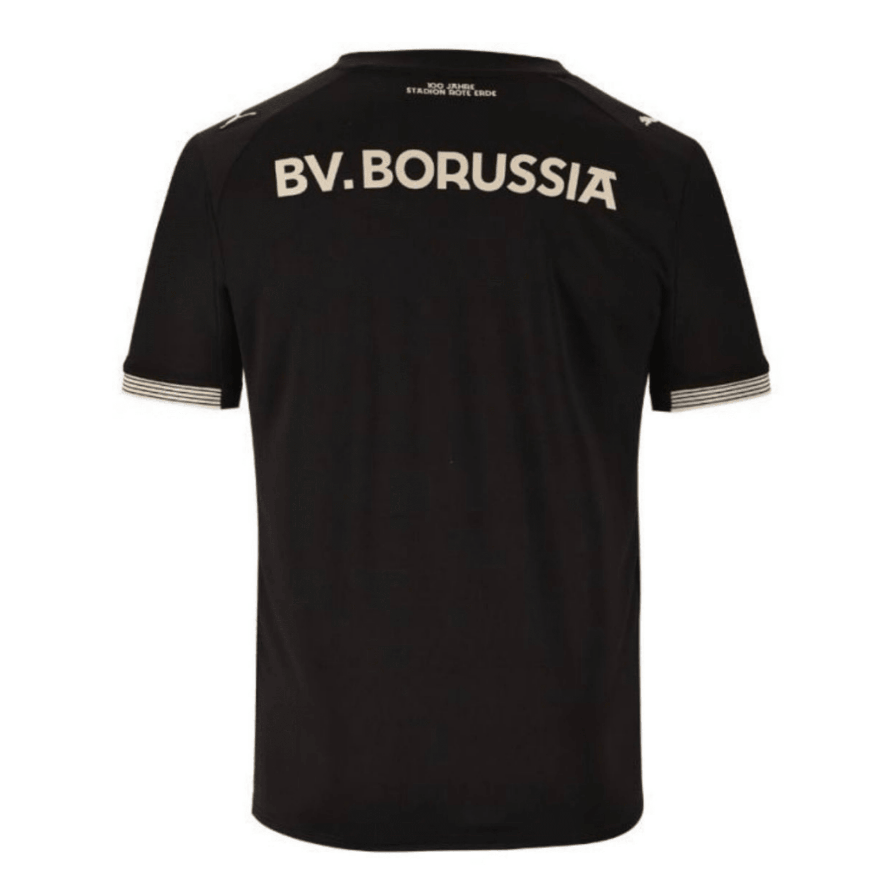 Maillot Spécial BVB BORUSSIA DORTMUND Homme 25 / 26