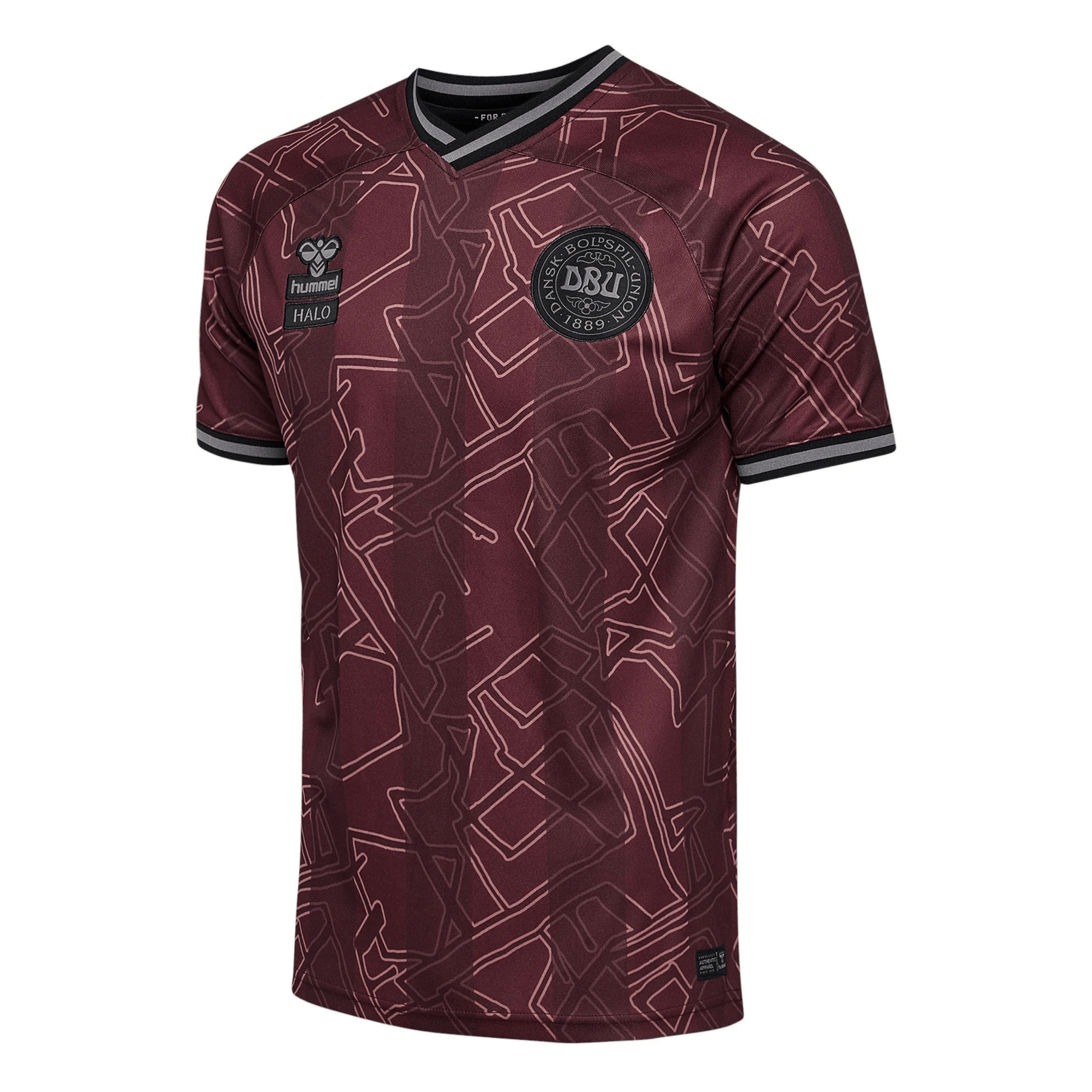 Maillot spécial DBU DANEMARK X HALO Homme 2024