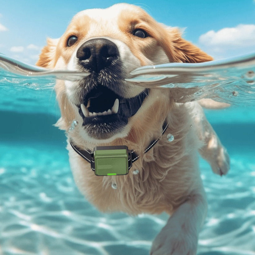 Fernbedienbares Hundetrainingshalsband mit einer Reichweite von 300m