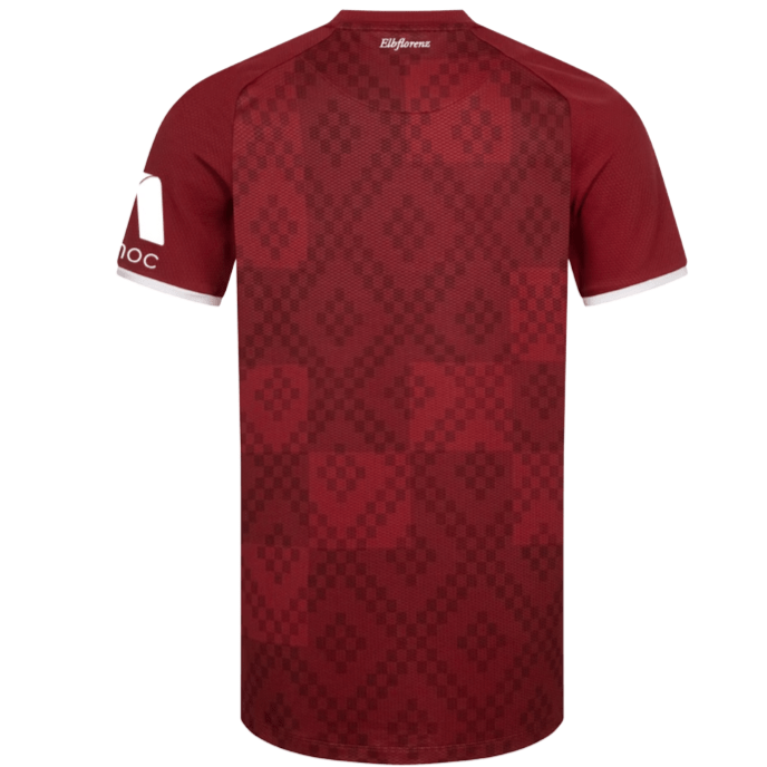 3e maillot DYNAMO DRESDEN Homme 24 / 25