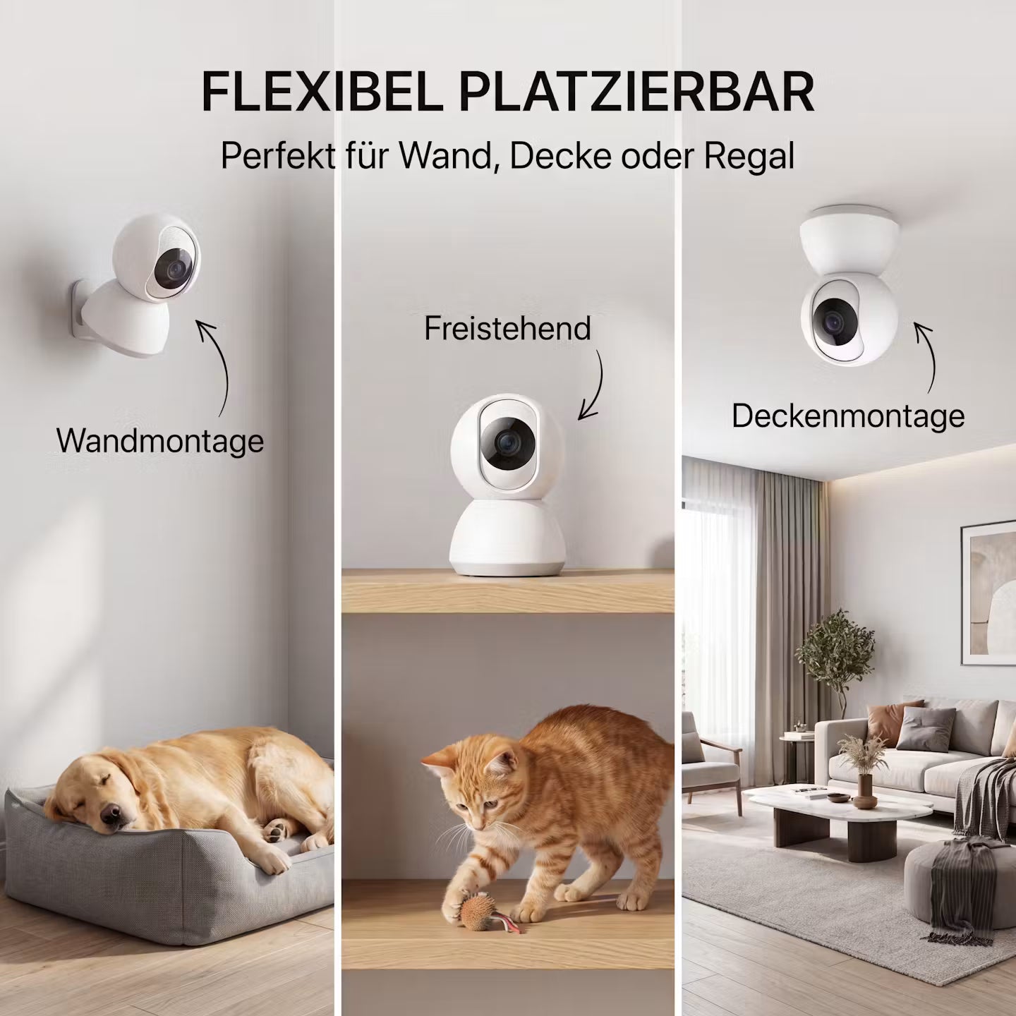 Slimme wifi-huisdiercamera - nachtzicht, bewegingsdetectie en bediening via app