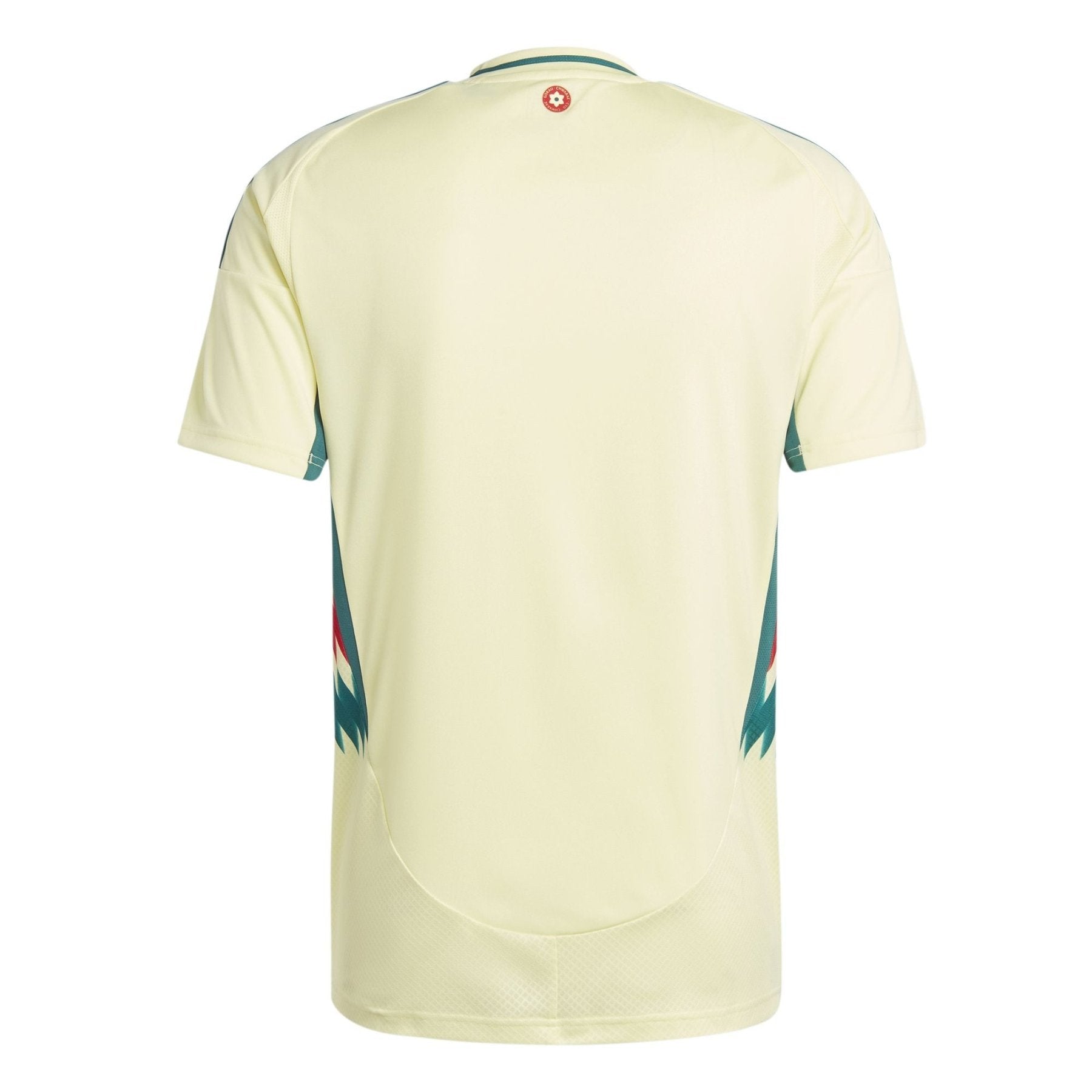 Maillot Extérieur FAW PAYS DE GALLES Homme 24 / 25