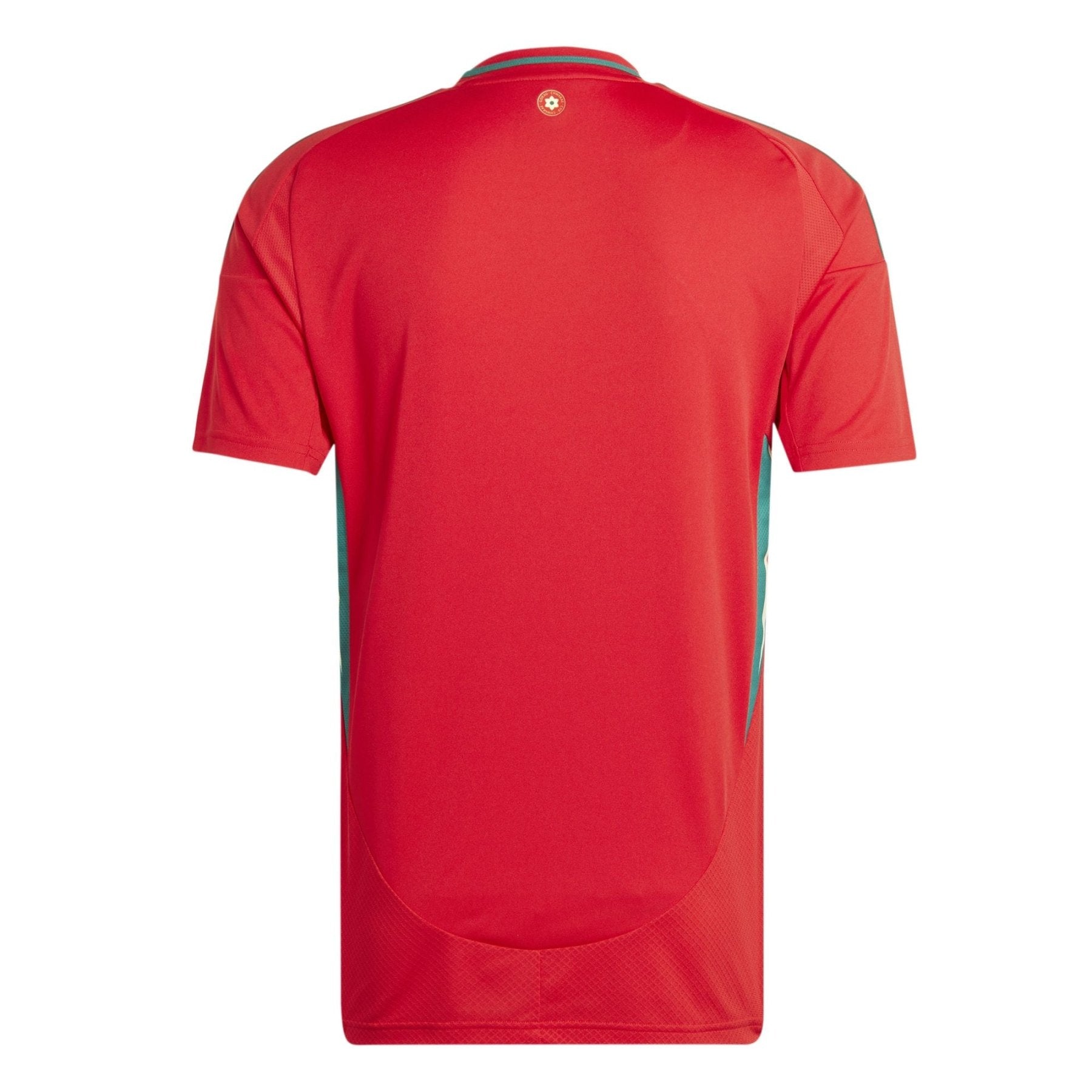 Maillot Domicile FAW PAYS DE GALLES Homme 24 / 25