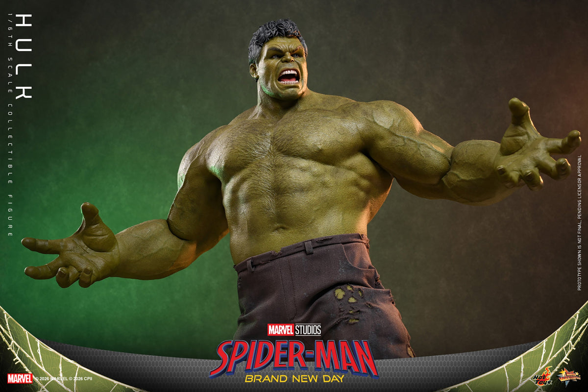 Hulk (Spider-Man: Brand New Day) 1/6 Scale Action Figure - Hot Toys