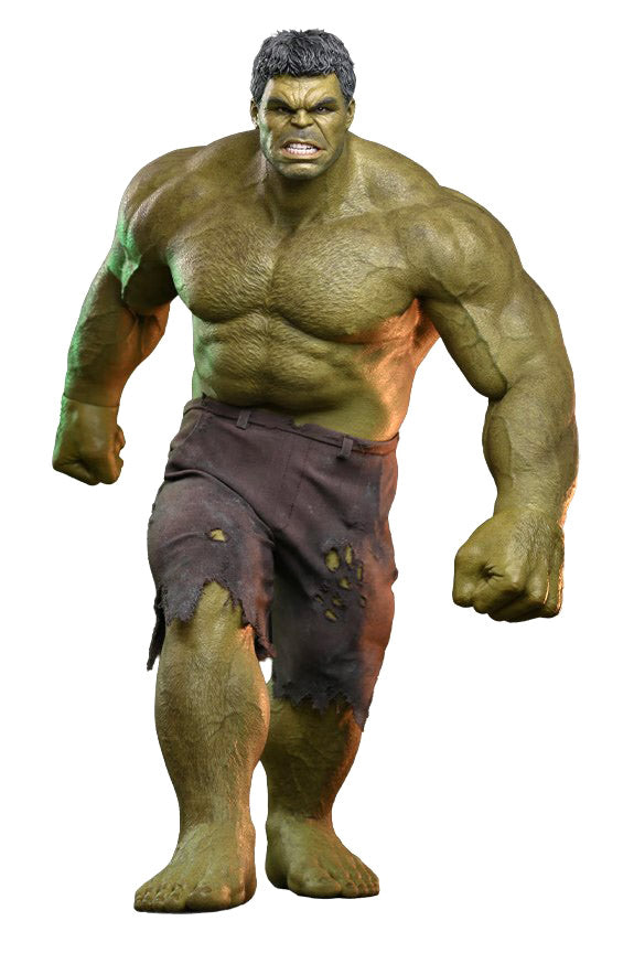 Hulk (Spider-Man: Brand New Day) 1/6 Scale Action Figure - Hot Toys