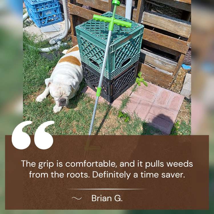 Garden Weed Puller – RootRipper Manual Weed Extractor Tool