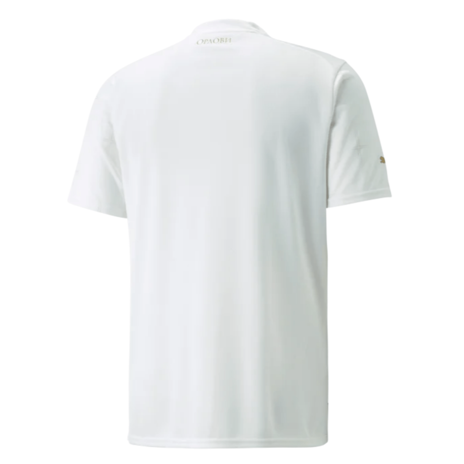 Maillot Extérieur SERBIE Homme Coupe du Monde 2022