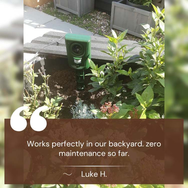 Ultrasonic Cat Repeller – Smart Outdoor Garden Deterrent