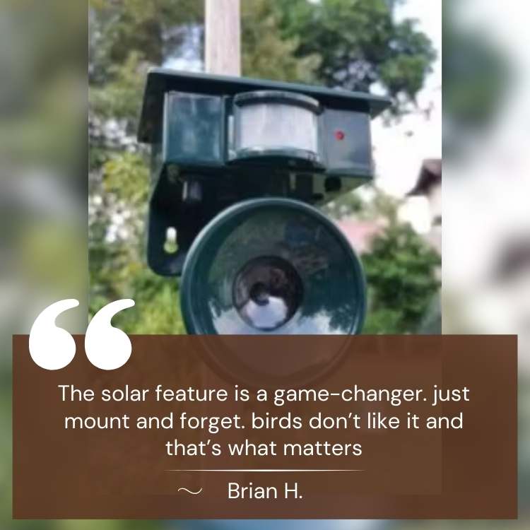 Solar Ultrasonic Bird Repeller – Smart Outdoor Garden Deterrent