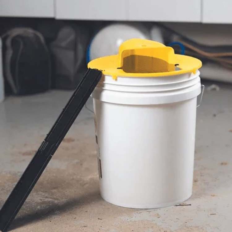 SmartCatch Mouse Trap – Reusable Indoor Rodent Trap