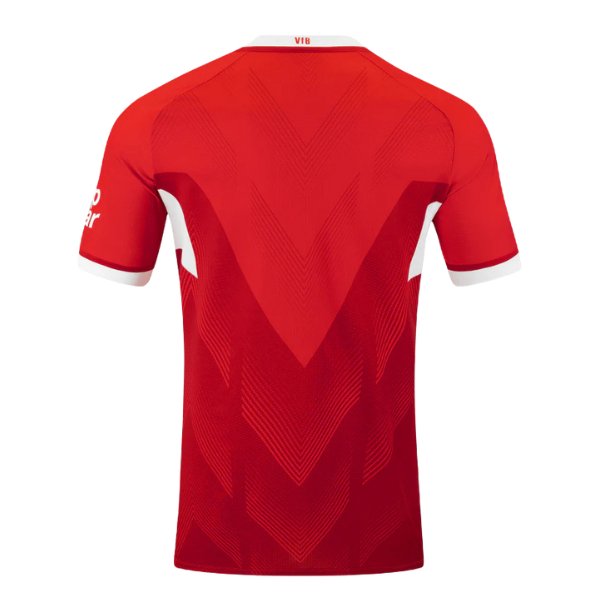 Maillot extérieur VfB STUTTGART Homme 24 / 25