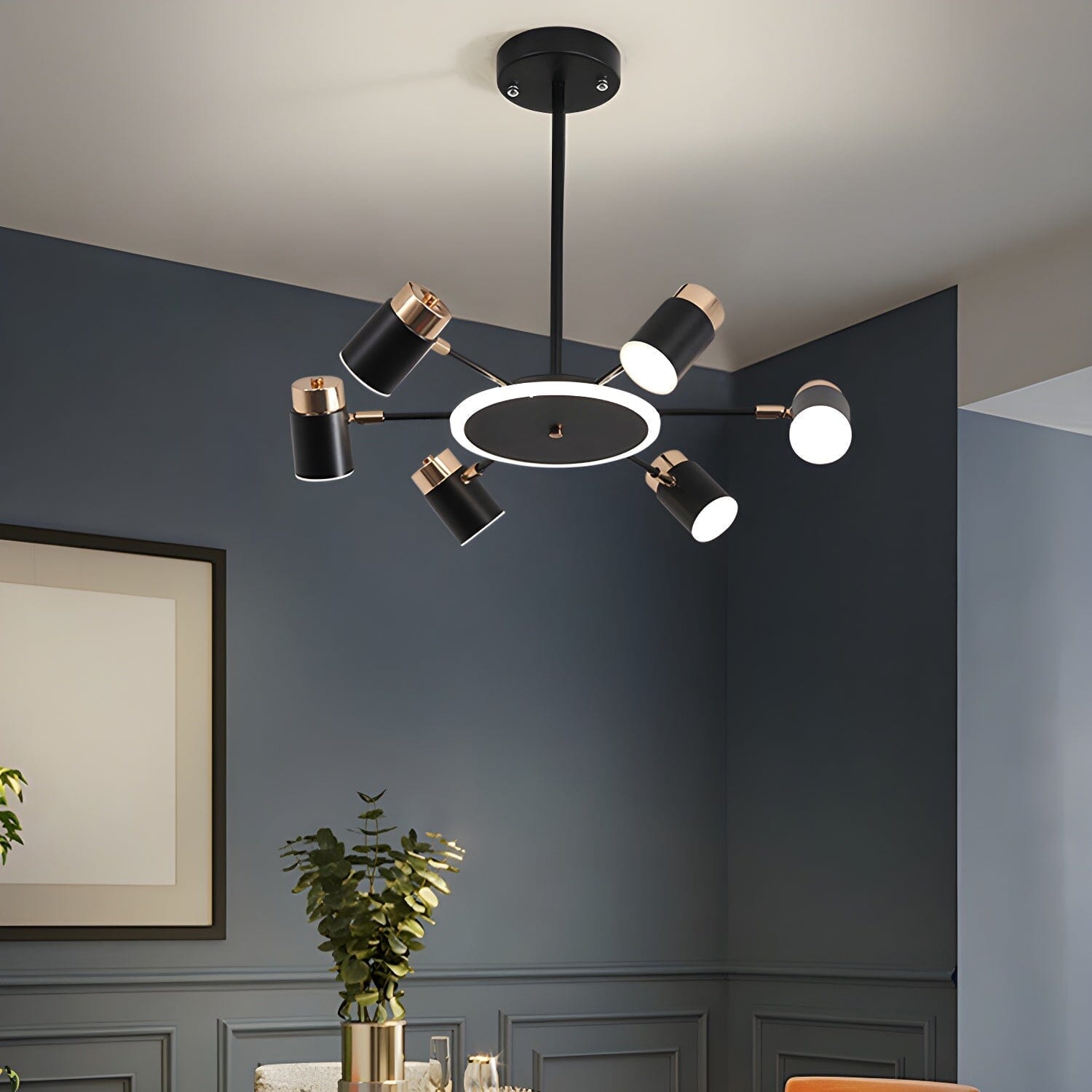Ceiling Lamps