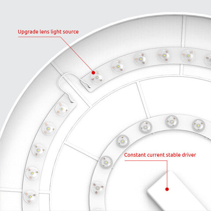 Ceiling Light Round LED Contemporary Flush Fixture