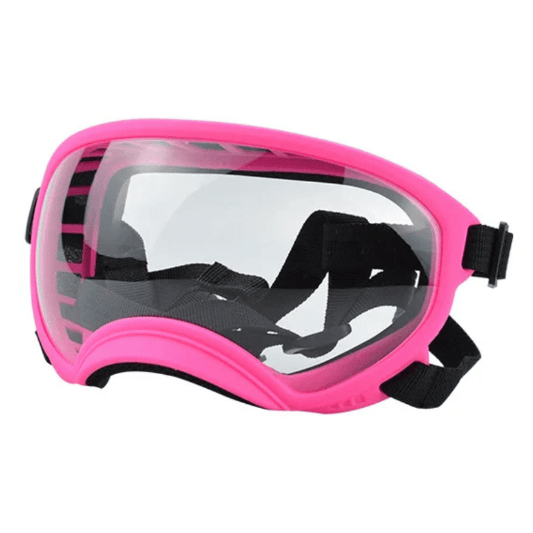 Lunettes de protection imperméables pour chien avec protection UV et sangles réglables
