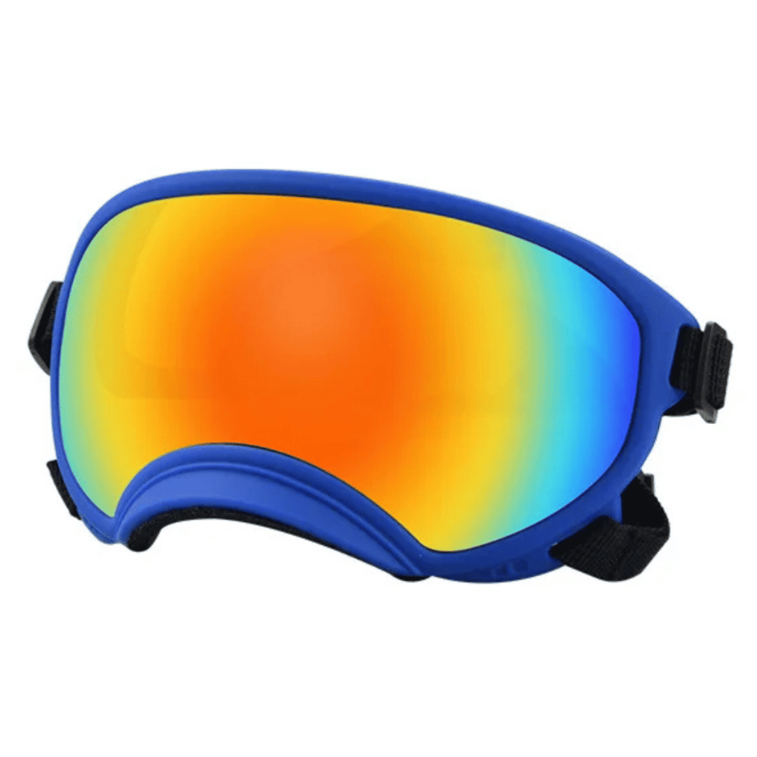 Lunettes de protection imperméables pour chien avec protection UV et sangles réglables