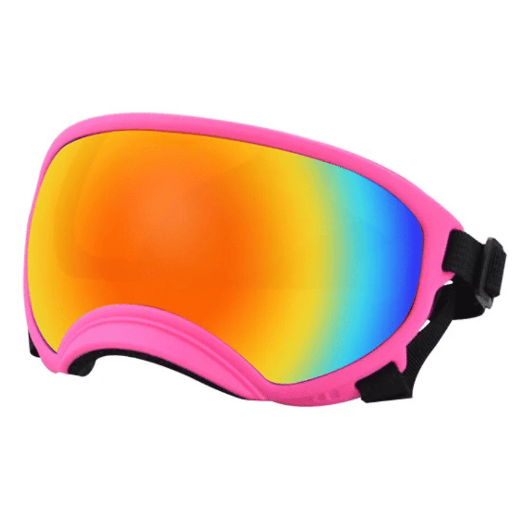 Lunettes de protection imperméables pour chien avec protection UV et sangles réglables
