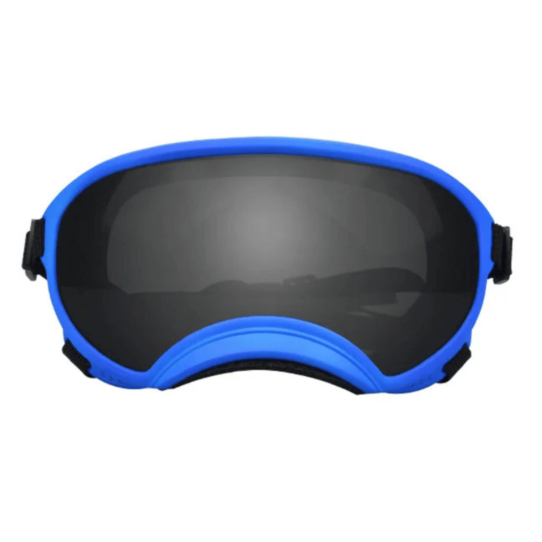 Lunettes de protection imperméables pour chien avec protection UV et sangles réglables