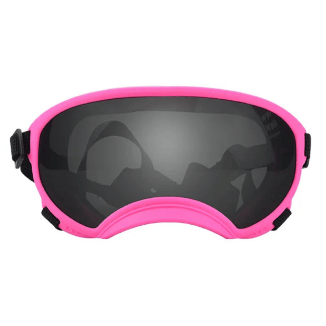 Lunettes de protection imperméables pour chien avec protection UV et sangles réglables