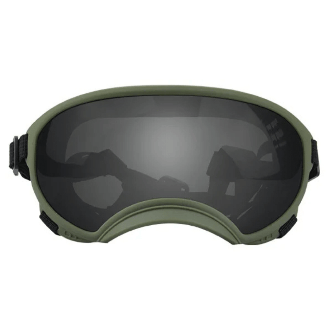 Lunettes de protection imperméables pour chien avec protection UV et sangles réglables