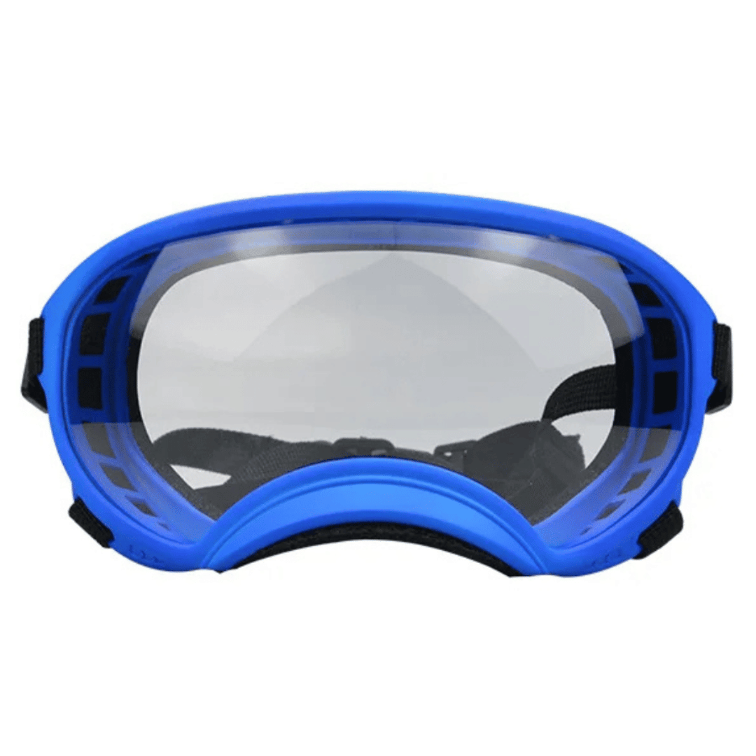 Lunettes de protection imperméables pour chien avec protection UV et sangles réglables