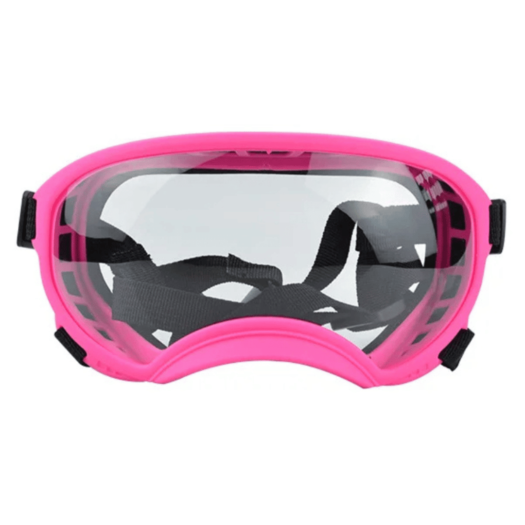 Lunettes de protection imperméables pour chien avec protection UV et sangles réglables