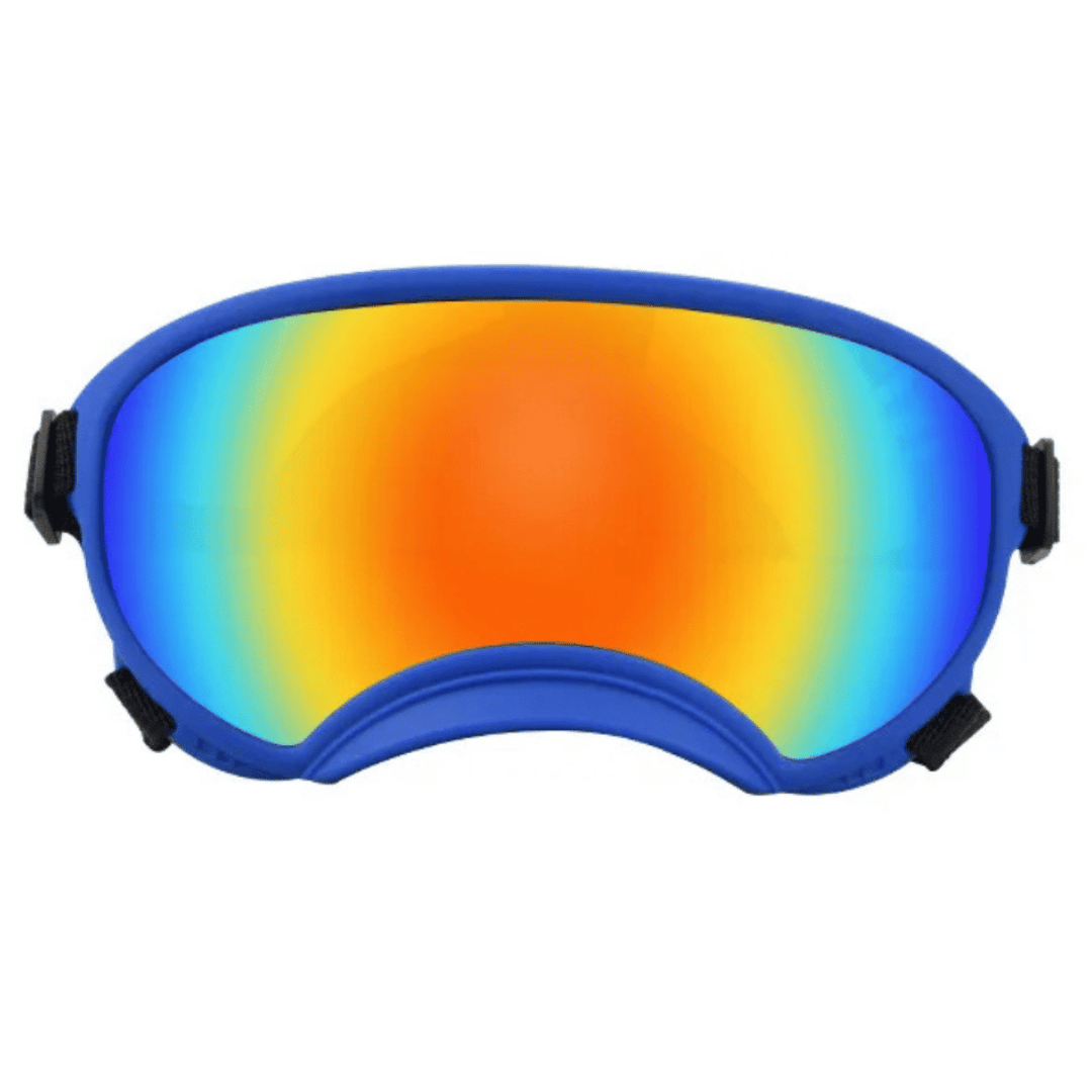 Lunettes de protection imperméables pour chien avec protection UV et sangles réglables