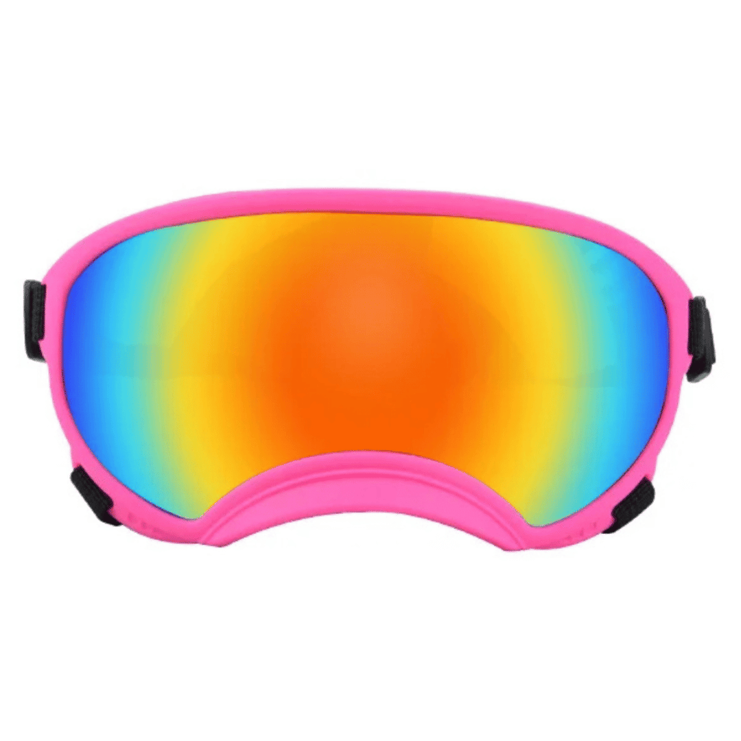 Lunettes de protection imperméables pour chien avec protection UV et sangles réglables