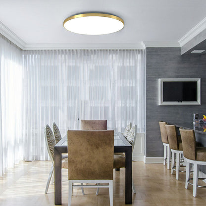 Ceiling Light Round LED Contemporary Flush Fixture