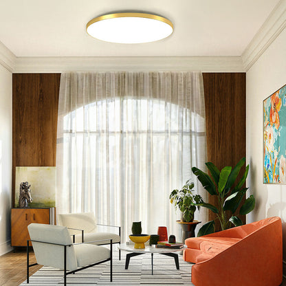 Ceiling Light Round LED Contemporary Flush Fixture