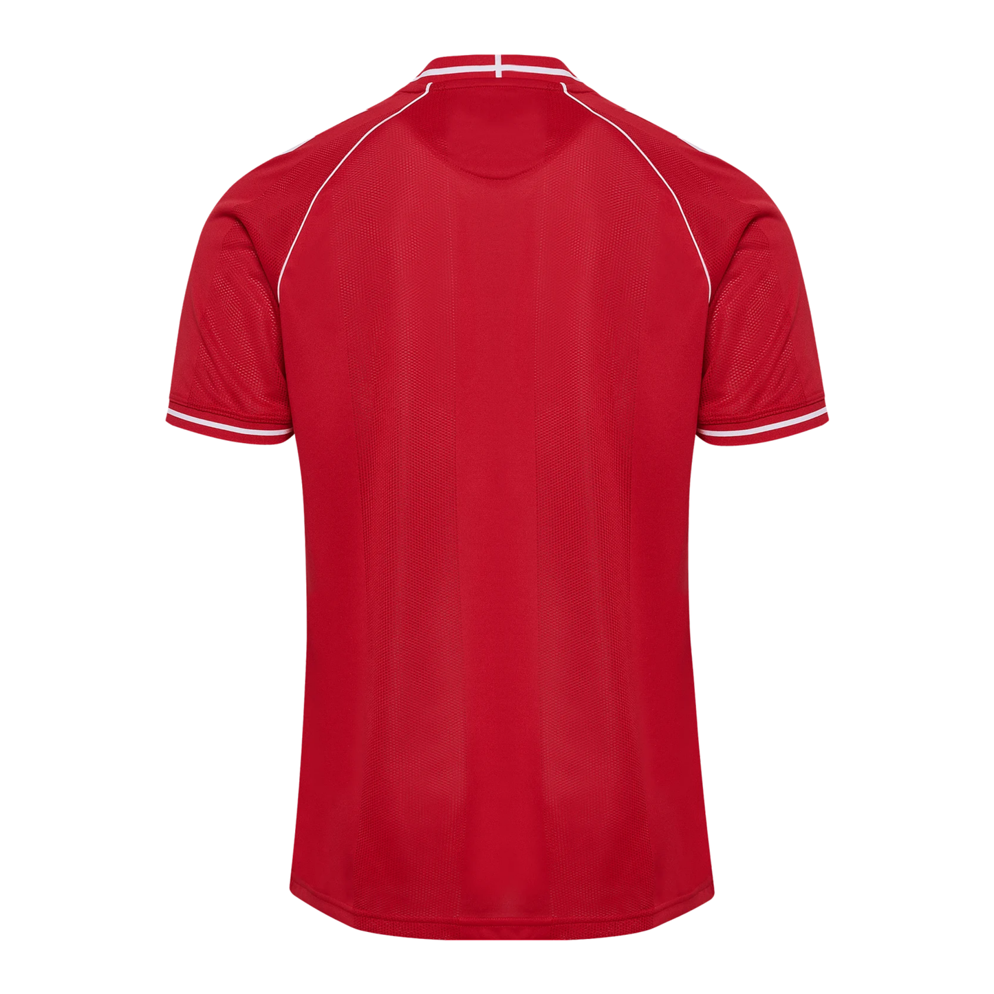 DBU DENMARK Home Jersey Men 26 / 27